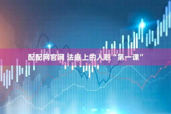 配配网官网 法庭上的入职“第一课”