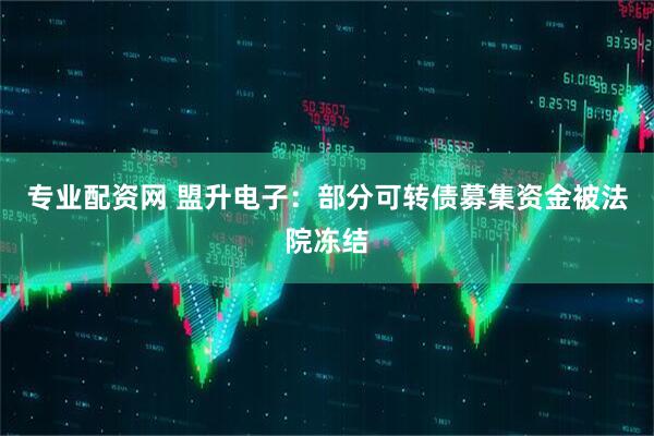 专业配资网 盟升电子：部分可转债募集资金被法院冻结